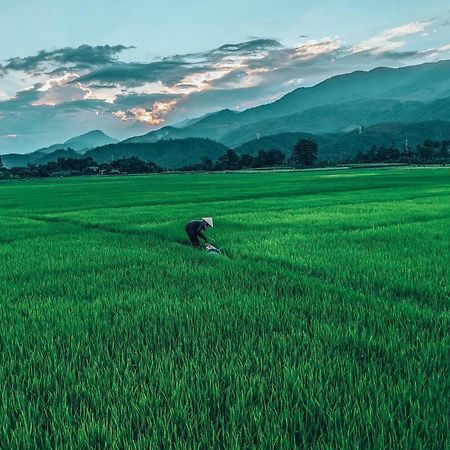 Hoi An Paddy House Homestay מראה חיצוני תמונה