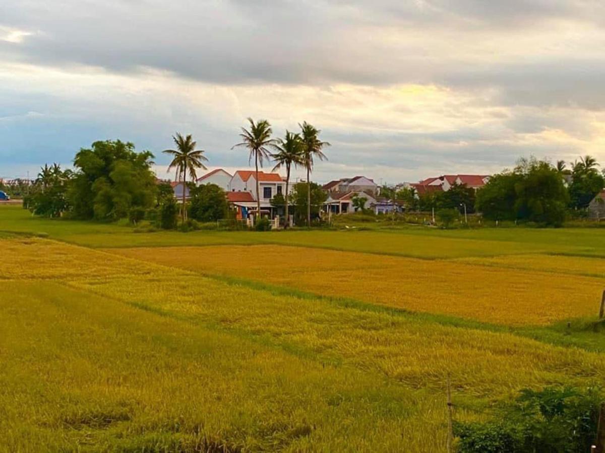 Hoi An Paddy House Homestay מראה חיצוני תמונה